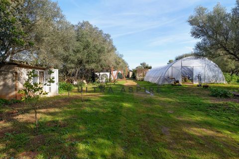 Finca i Algaida, Mallorca, Algaida - € 950.000 | Ref: UA439 - foto 10